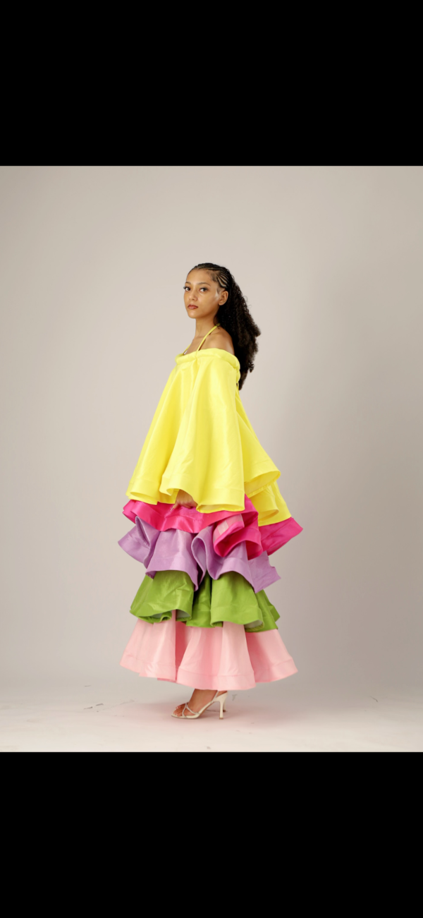 COAT OF MANY COLORS - Image 3