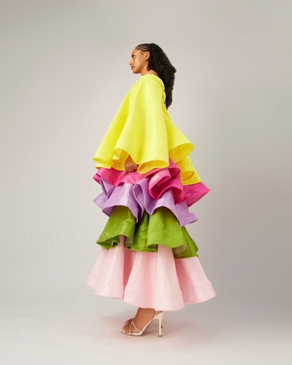 COAT OF MANY COLORS - Image 2