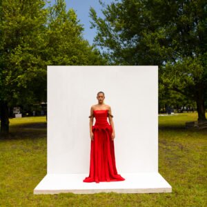 THE BLADE DRESS